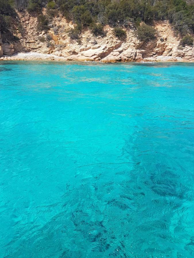 Casa Mare Villa Santa Teresa Gallura Eksteriør billede